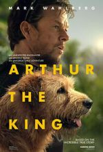 Watch Arthur the King Online Viooz