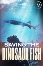Watch Saving the Dinosaur Fish Viooz