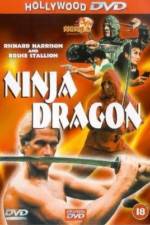 Watch Ninja Dragon Viooz