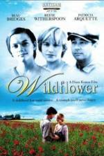 Watch Wildflower Viooz