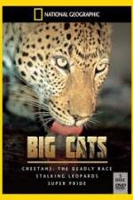 Watch National Geographic: Living With Big Cats Viooz