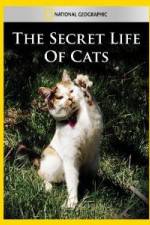 Watch National Geographic The Secret Life of Cats Viooz