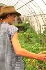 Watch Green House Seeds Strain Hunters India Expedition Viooz