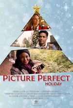 Watch A Picture Perfect Holiday Viooz