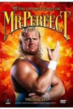 Watch The Life and Times of Mr Perfect Viooz