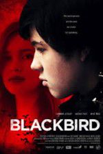 Watch Blackbird Viooz