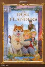Watch The Dog of Flanders Viooz