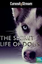 Watch Secret Life of Dogs Viooz
