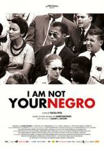 Watch I Am Not Your Negro Viooz