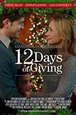 Watch 12 Days of Giving Viooz