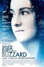 Watch White Bird in a Blizzard Viooz