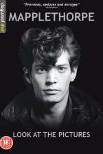 Watch Mapplethorpe: Look at the Pictures Viooz