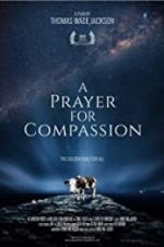 Watch A Prayer for Compassion Viooz
