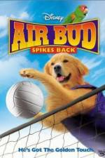 Watch Air Bud Spikes Back Viooz
