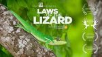 Watch Laws of the Lizard Viooz