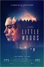 Watch Little Woods Viooz