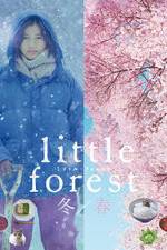 Watch Little Forest: Winter/Spring Viooz