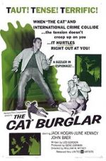 Watch The Cat Burglar Viooz