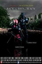 Watch Deadpool and the Black Panther Viooz