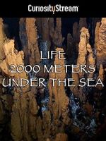 Watch Life 2,000 Meters Under the Sea Viooz