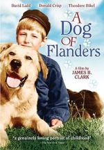 Watch A Dog of Flanders Viooz