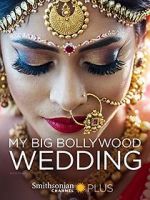 Watch My Big Bollywood Wedding Viooz
