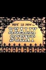 Watch Really Scent (Short 1959) Viooz
