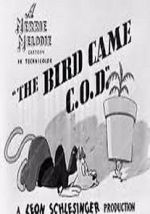 Watch The Bird Came C.O.D. (Short 1942) Viooz
