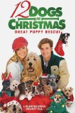 Watch 12 Dogs of Christmas Great Puppy Rescue Viooz