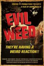 Watch Evil Weed Viooz