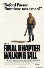 Watch Final Chapter: Walking Tall Viooz