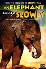 Watch An Elephant Called Slowly Viooz