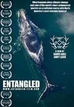 Watch Entangled: The Race to Save Right Whales from Extinction Viooz