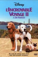 Watch Homeward Bound II Lost in San Francisco Viooz