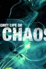 Watch The Secret Life of Chaos Viooz