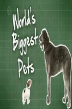 Watch World's Biggest Pets Viooz
