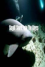 Watch National Geographic Wild Sixgill Shark Into The Abyss Viooz