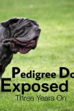 Watch Pedigree Dogs Exposed, Three Years On Viooz