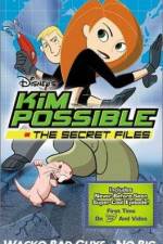 Watch "Kim Possible" Attack of the Killer Bebes Viooz