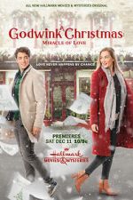 Watch A Godwink Christmas: Miracle of Love Viooz