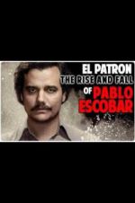 Watch The Rise and Fall of Pablo Escobar Viooz