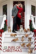 Watch 12 Pups of Christmas Viooz