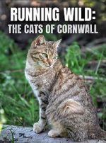 Watch Running Wild: The Cats of Cornwall (TV Special 2020) Viooz