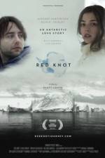 Watch Red Knot Viooz