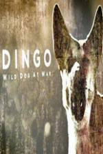 Watch Dingo Wild Dog at War Viooz