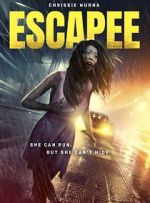 Watch The Escapee Movie25