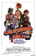Watch California Split Viooz