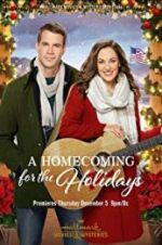 Watch A Homecoming for the Holidays Viooz