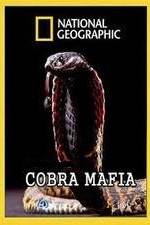 Watch National Geographic Cobra Mafia Viooz