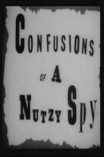 Watch Confusions of a Nutzy Spy Viooz